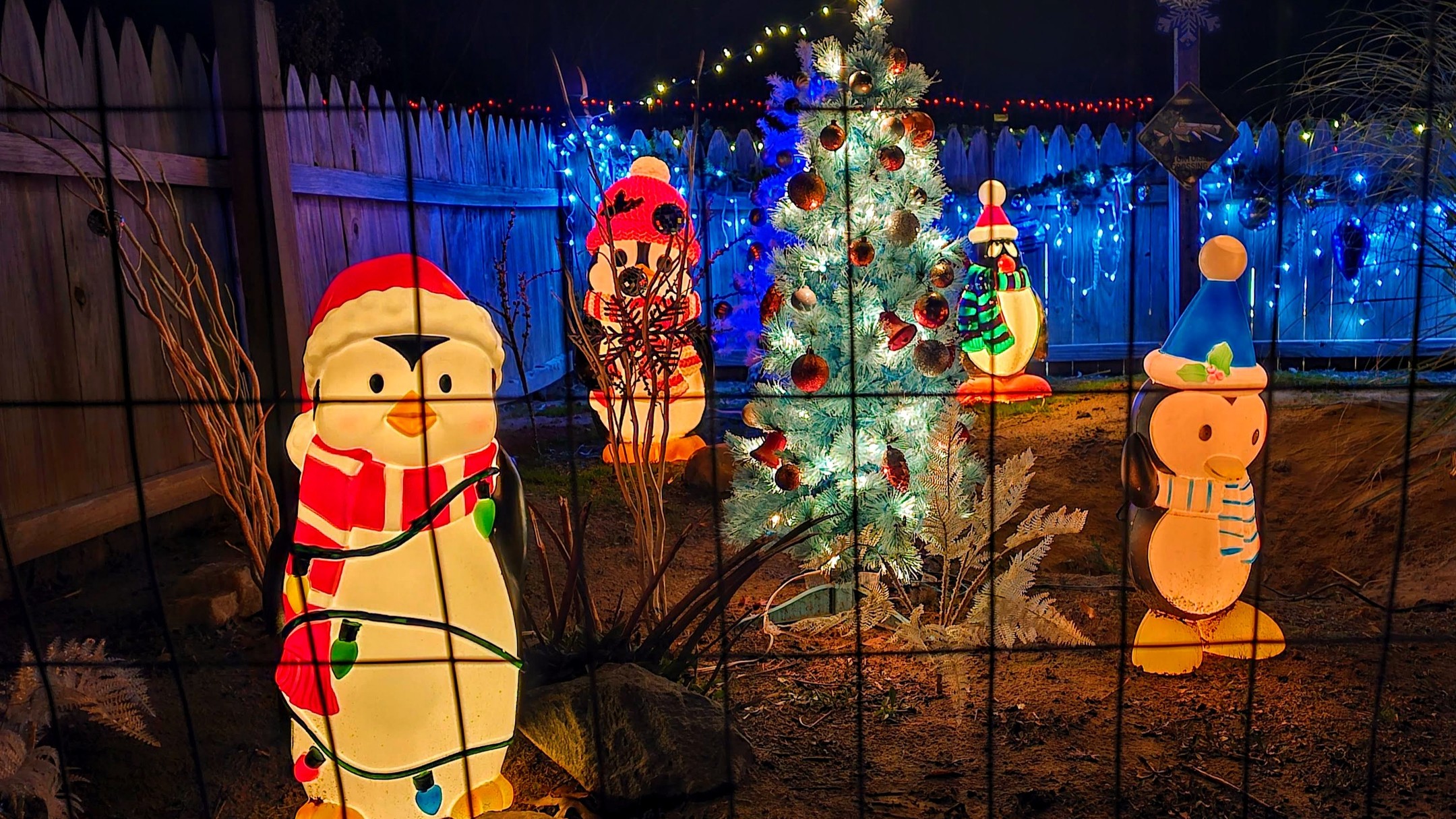 Illuminated winter vignette featuring glowing blow-mold penguins wearing winter hats and wrapped in Christmas lights beside a lit tree.