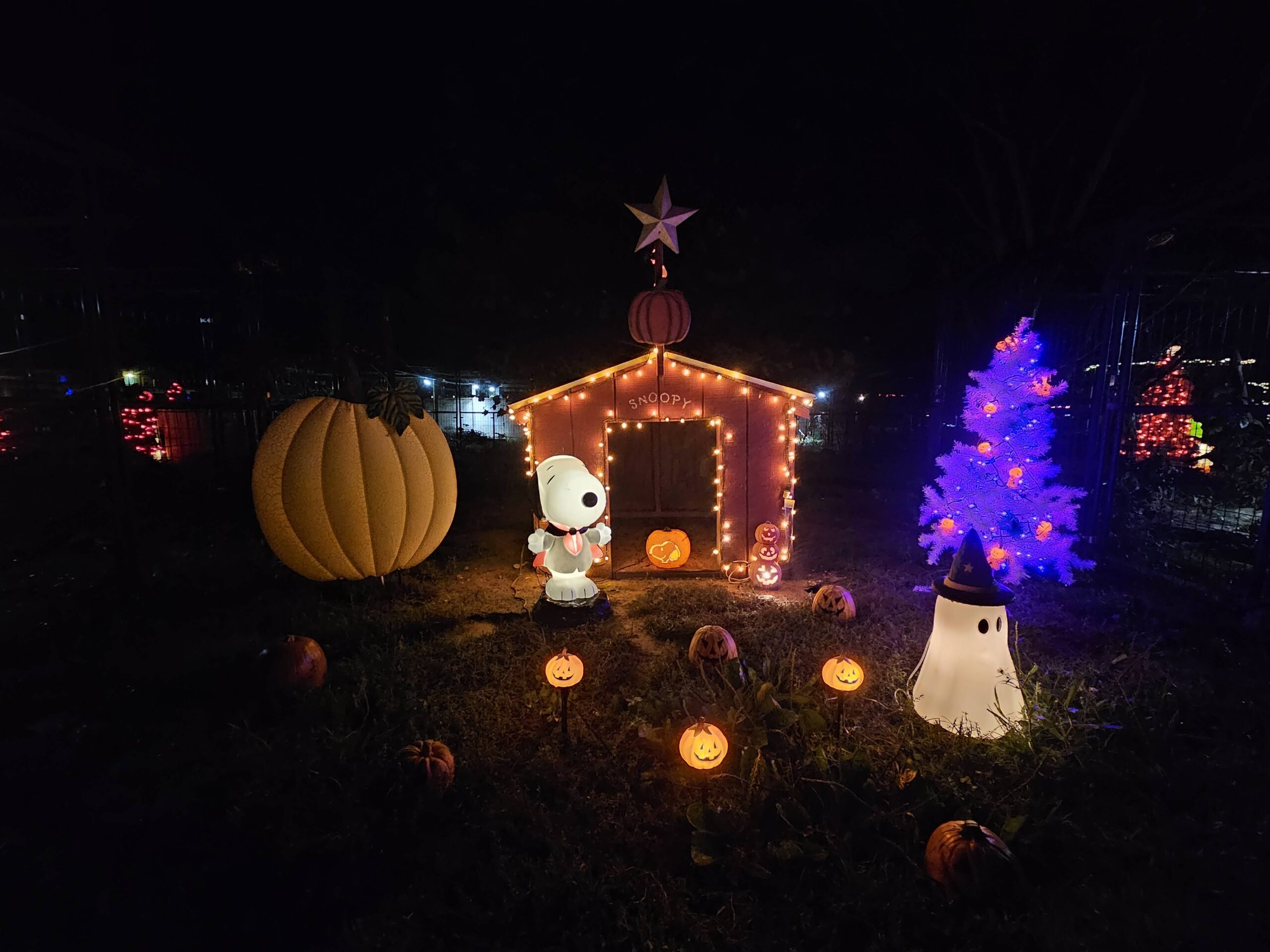 Snoopy sitting atop his glowing Halloween decorated doghouse beside the Great Pumpkin