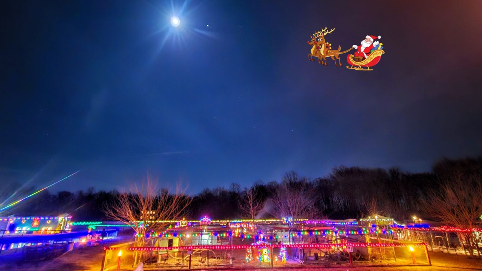 Zoo Lights and Christmas Nights