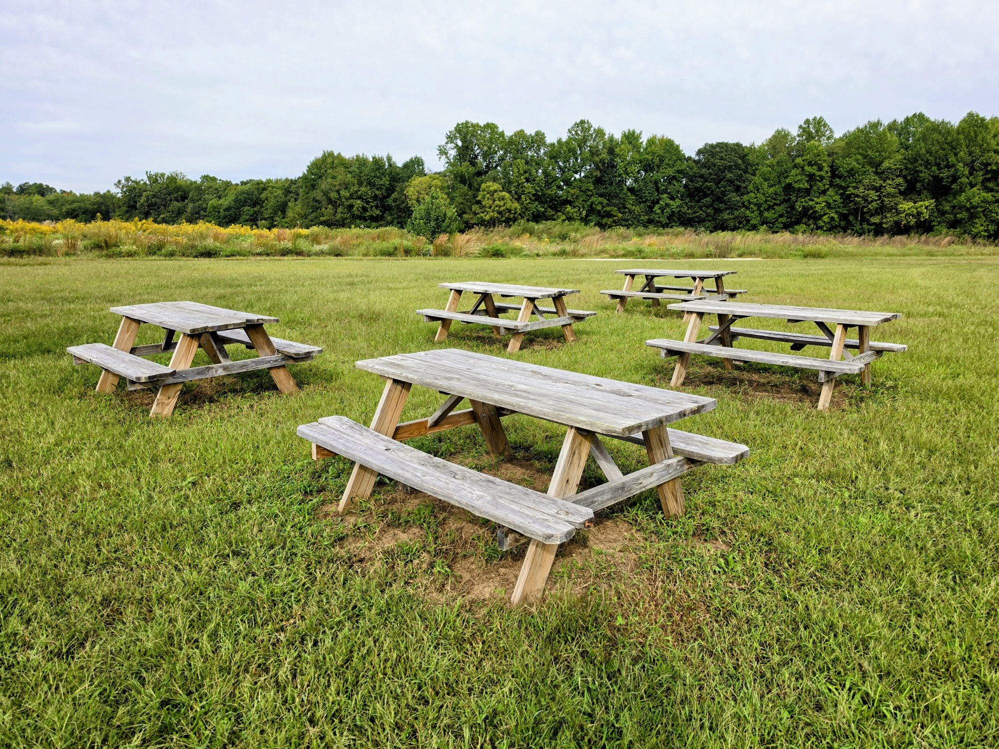 Visitor Picnic Tables & Rest Seating